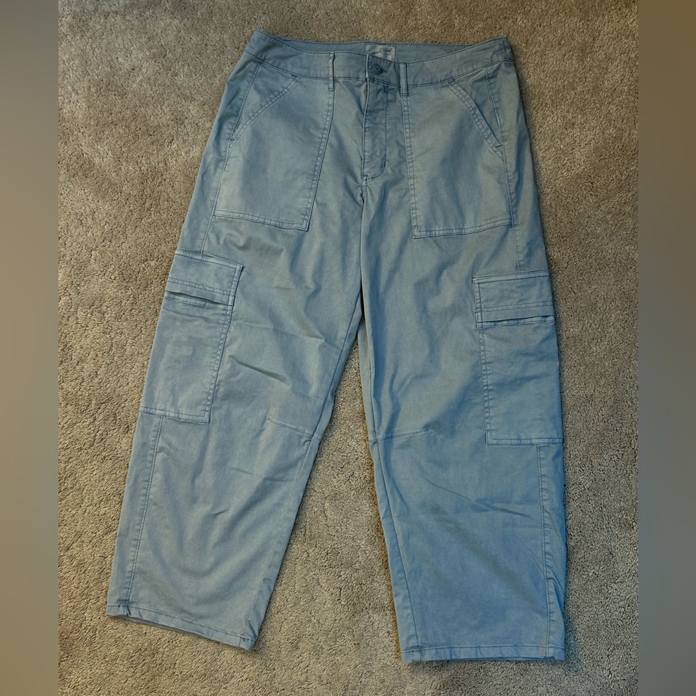 Universal Thread Women’s Baby Blue Barrel Pants
